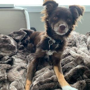 Meet your Posher, Emma